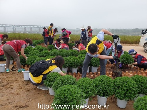 메인사진