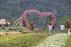 메인사진