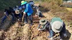 메인사진