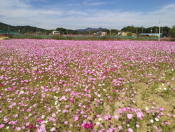 메인사진