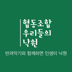 메인사진