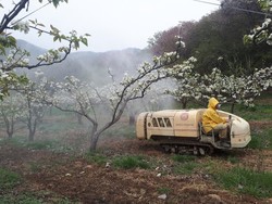 메인사진