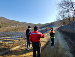 메인사진