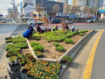 메인사진