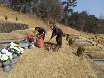 메인사진