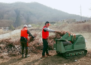 메인사진