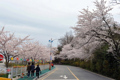 메인사진