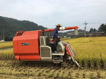 메인사진