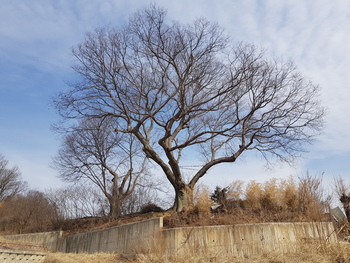 메인사진