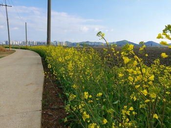 메인사진