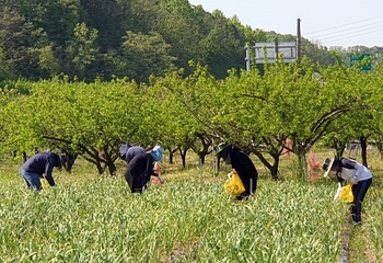 메인사진