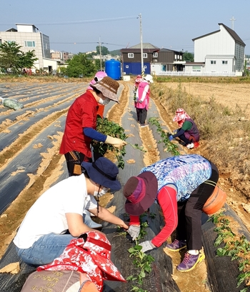 메인사진