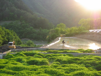 메인사진