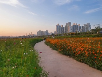 메인사진