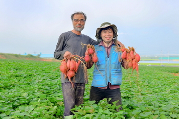 메인사진