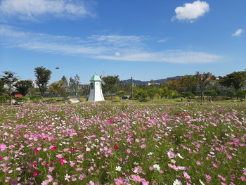 메인사진