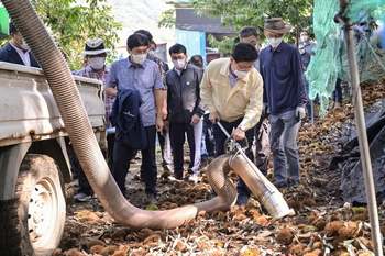 메인사진