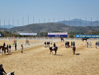 메인사진