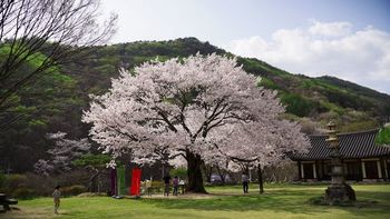 메인사진