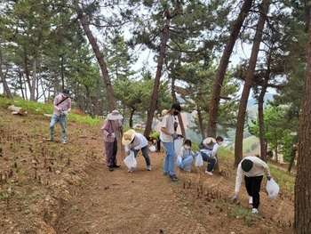 메인사진