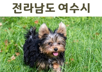 메인사진