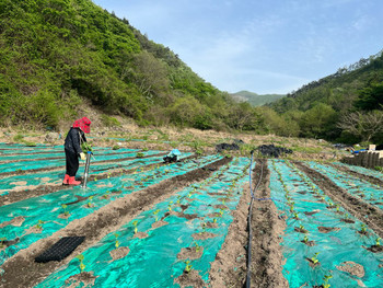 메인사진