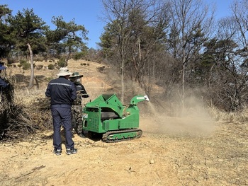 메인사진