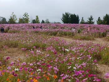 메인사진