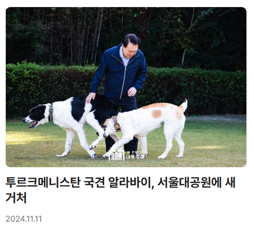 메인사진